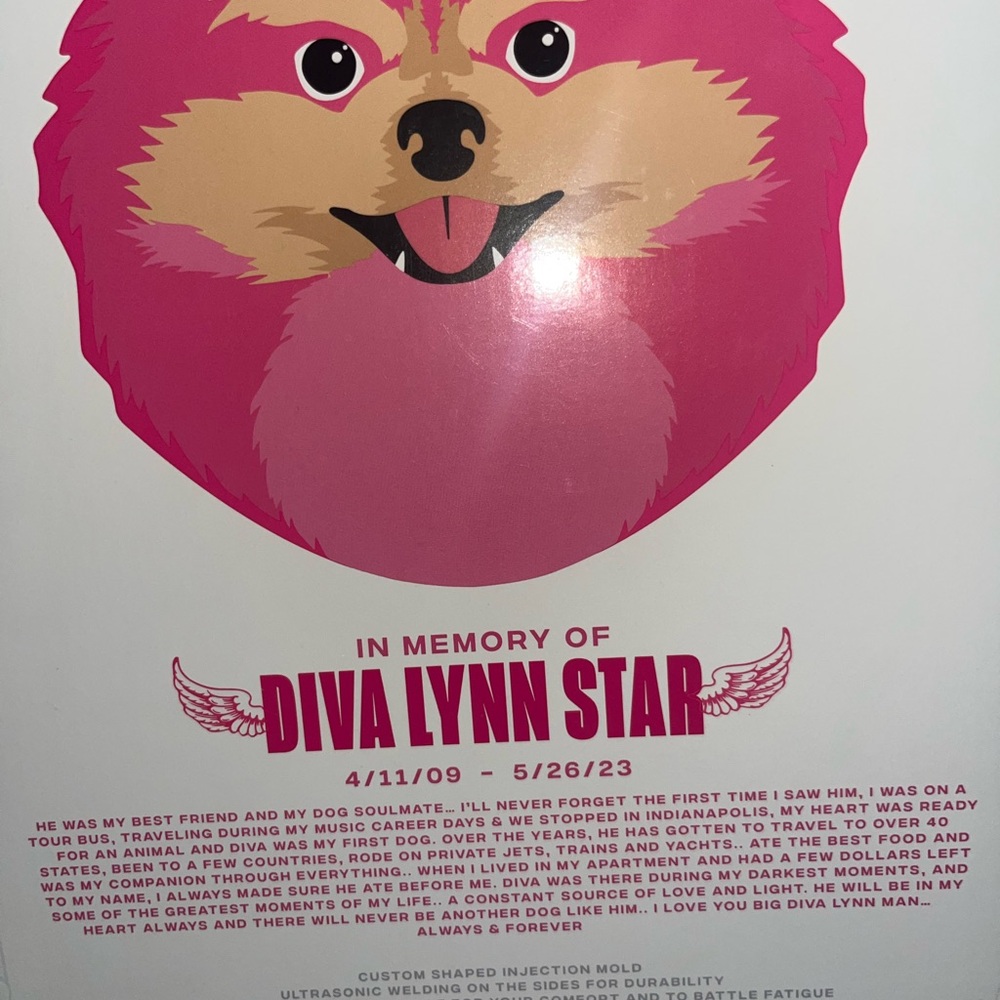 Jeffree Star “DIVA LYNN STAR” Collectible Mirror - Picture 2 of 6